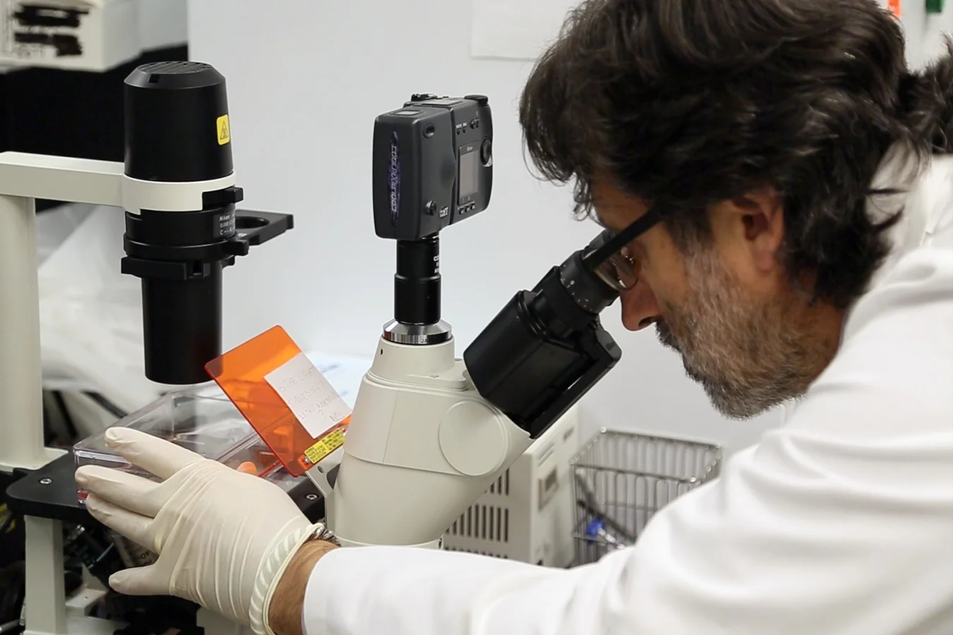 zika researcher.jpg