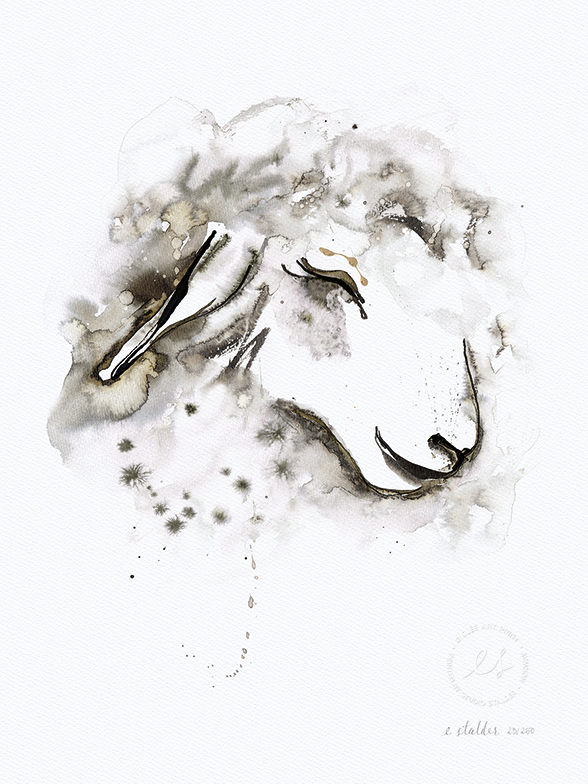 Curly Sheep Elise Stalder.png