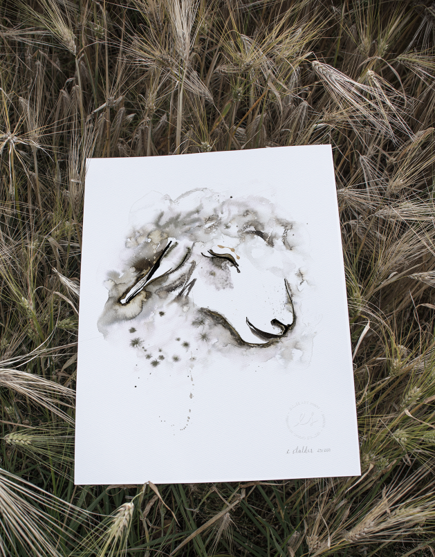 Curly Sheep.png