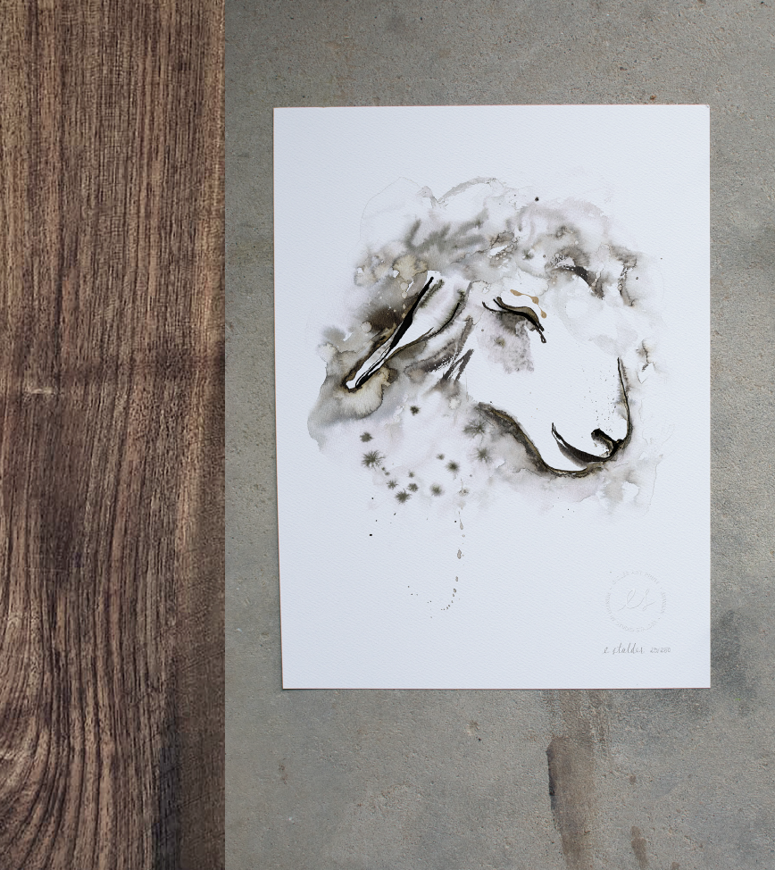 Curly Sheep 2.png