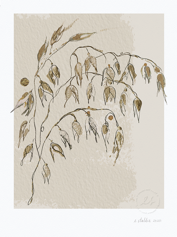 Havre 2 - 30x40 50x70 - Elise Stalder.png