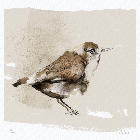 Fossekall – 30x30-50x50cm - Elise Stalder.png