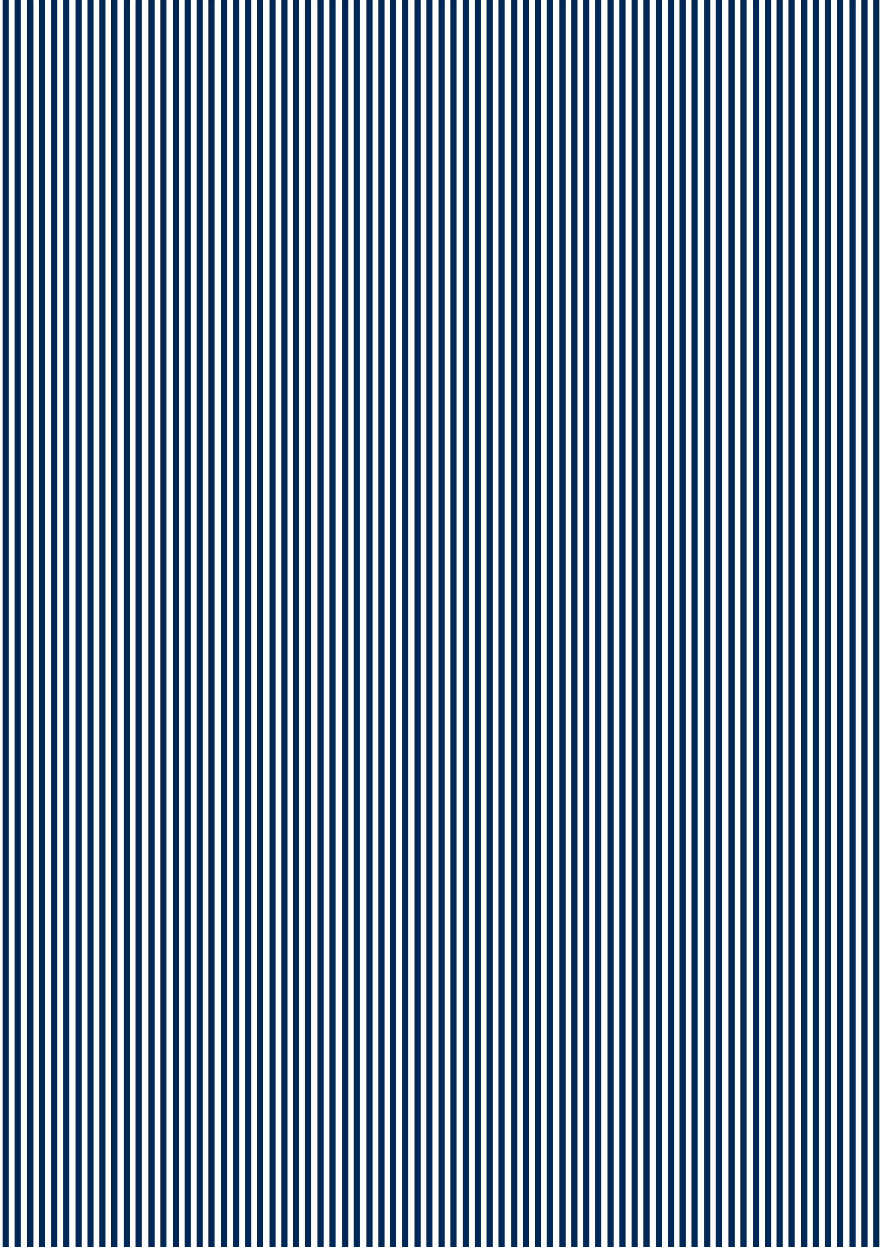MINI NAVY