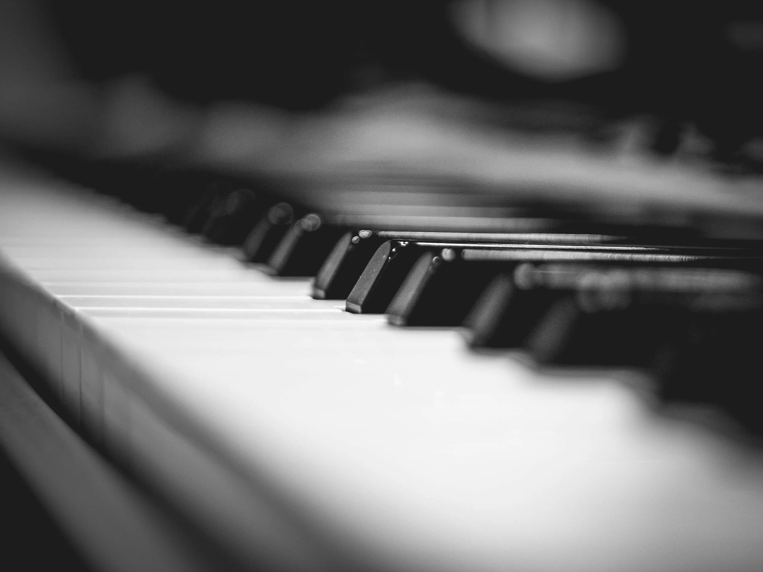 black-and-white-black-and-white-close-up-586415.jpg