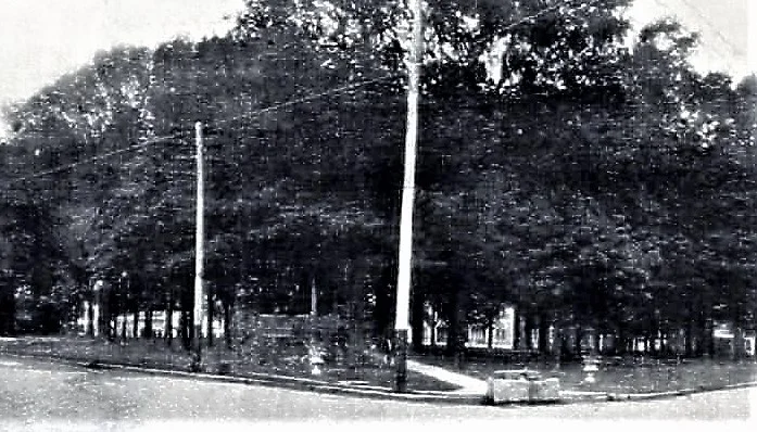 Medina Park 2.jpg