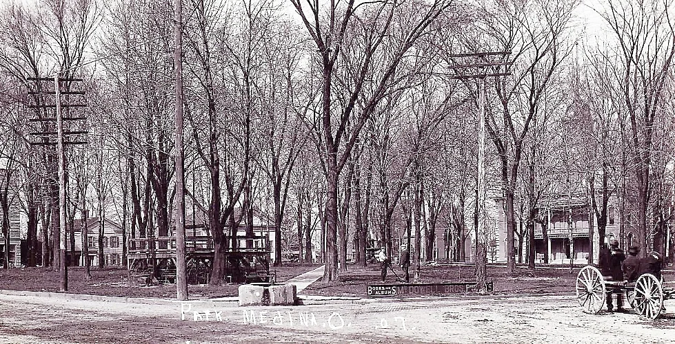 Park bare trees 1907 - Copy.jpg