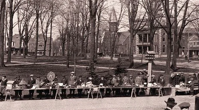 Birdhouses on the Square.jpg