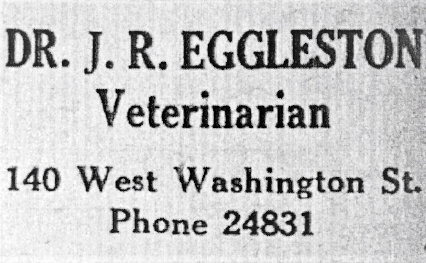 Egglston Vet ad.jpeg