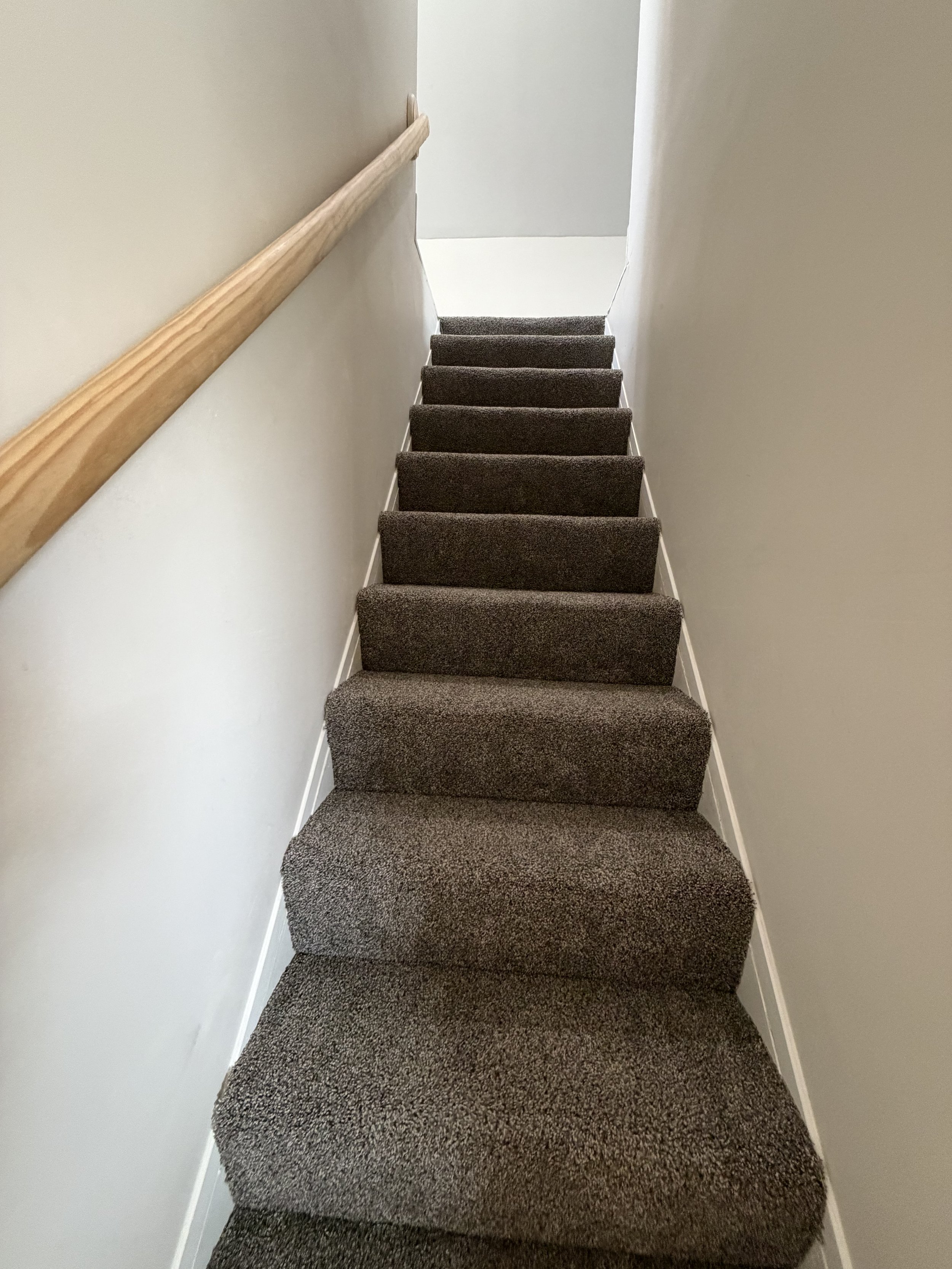 Photo Mar 20 2026, 11 54 41 AM (1).jpg