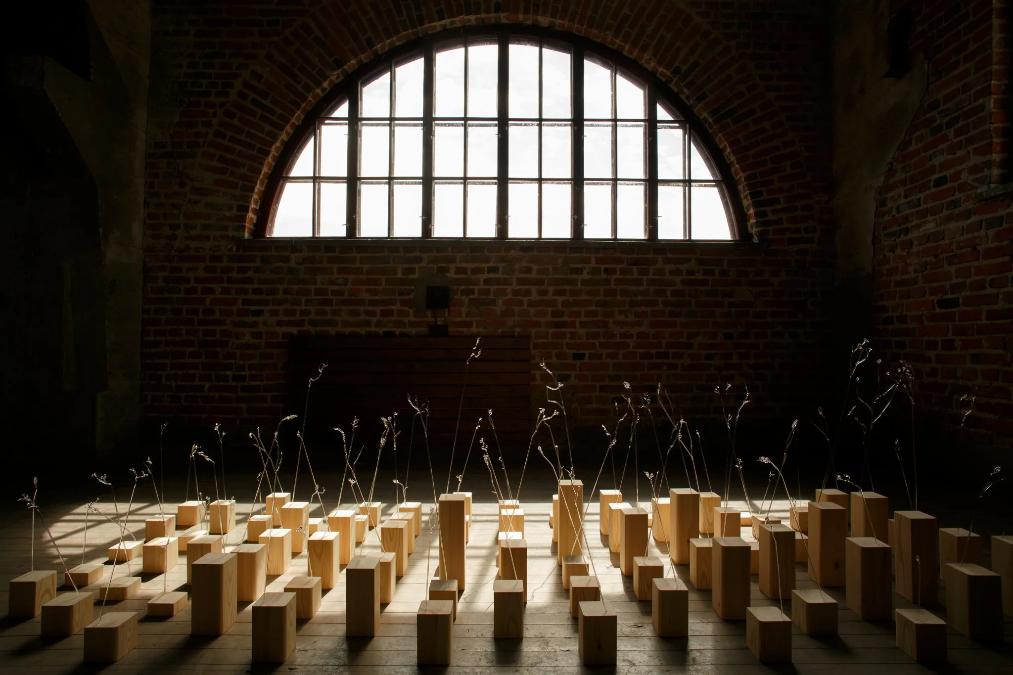 DIGI_Talventorrottajat KatriinaNuutinen - Kuva Jyri Keronen 2025-6.jpg