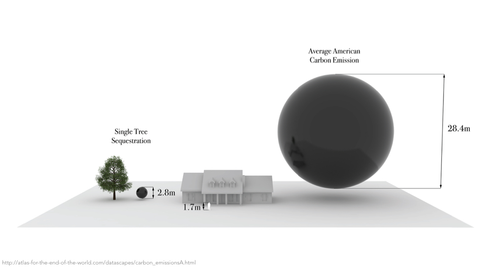 This is a graphic comparing the amount of carbon produced by an average American vs the amount sequestered by a single tree. This shows how the damage, still irreversible, requires further mitigation. We need to move away from our dedication to fossil fuels.