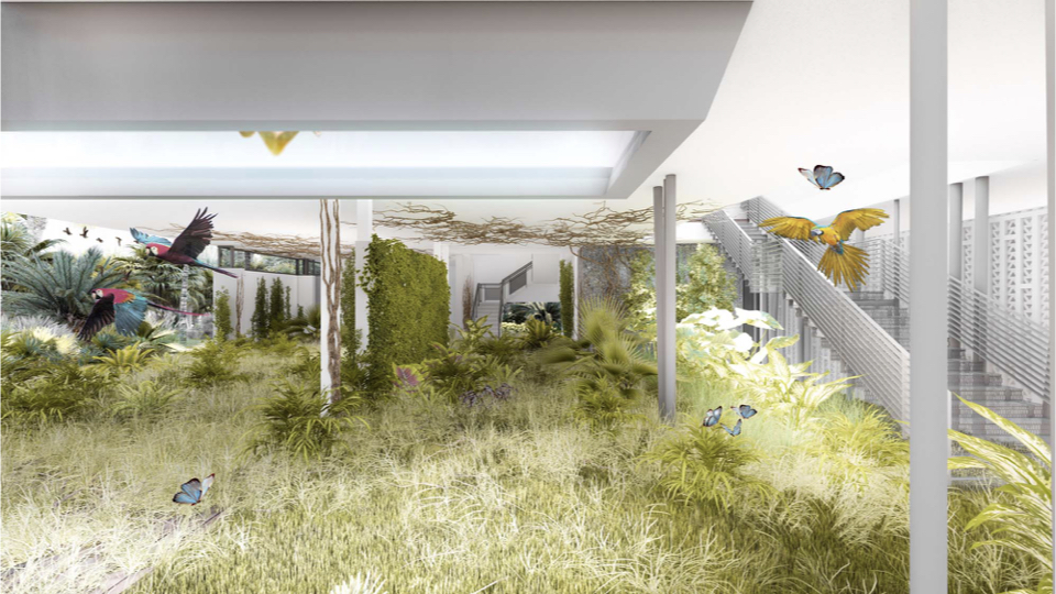 Again, the possibility of a restorative evolution of the ground floor to nature over time.