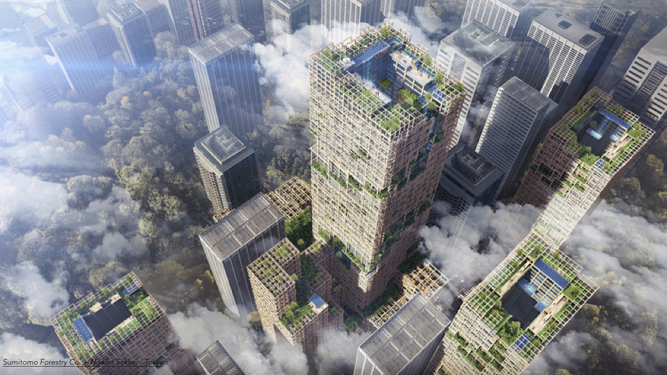 Finally, I wanted to quickly end with a few slides of other architects which we feel are implementing these same concepts throughout the world. This is an image of Sumitomo’s forestry tower in Tokyo designed in combination with Nekken Sekkei. Combining nature with CLT construction, it’s set to become the world’s tallest wooden sky scrapper. This evaluates the city not as a concrete jungle, but a wooden forest.