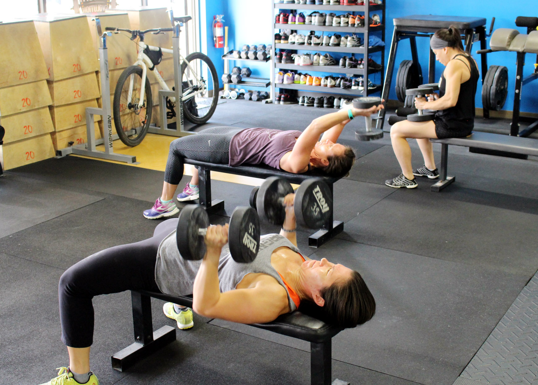 Bench Presses & Pullovers