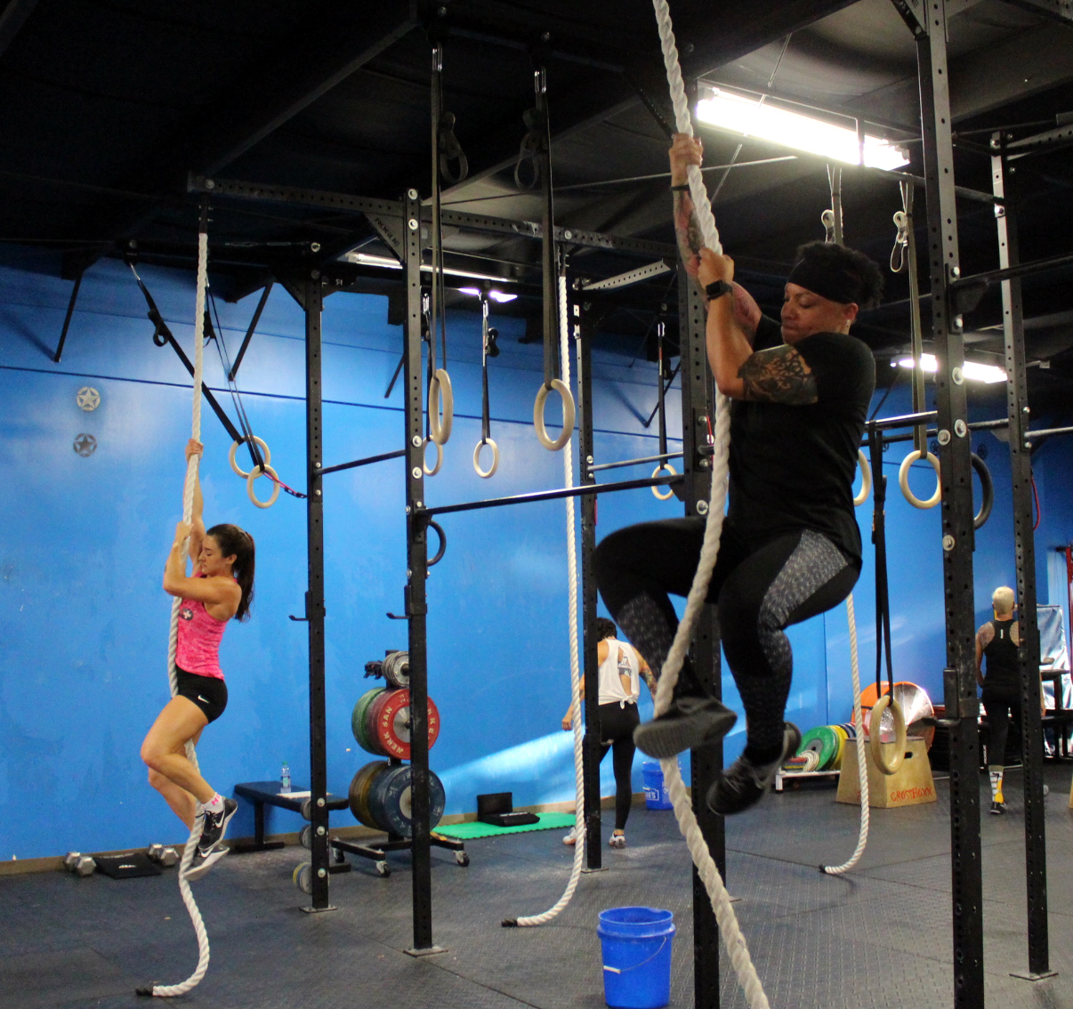 Climbing ropes