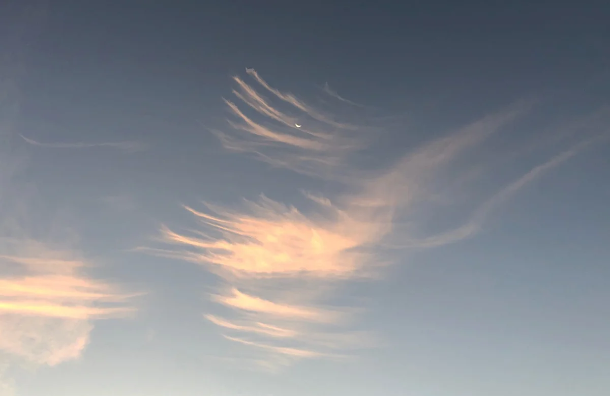How Benedictine spirituality lighted my way forward  By Susan Flansburg    The following story is excerpted from an article I wrote after my mom’s death. If you click on the link at the end, you can read the whole thing, including some he