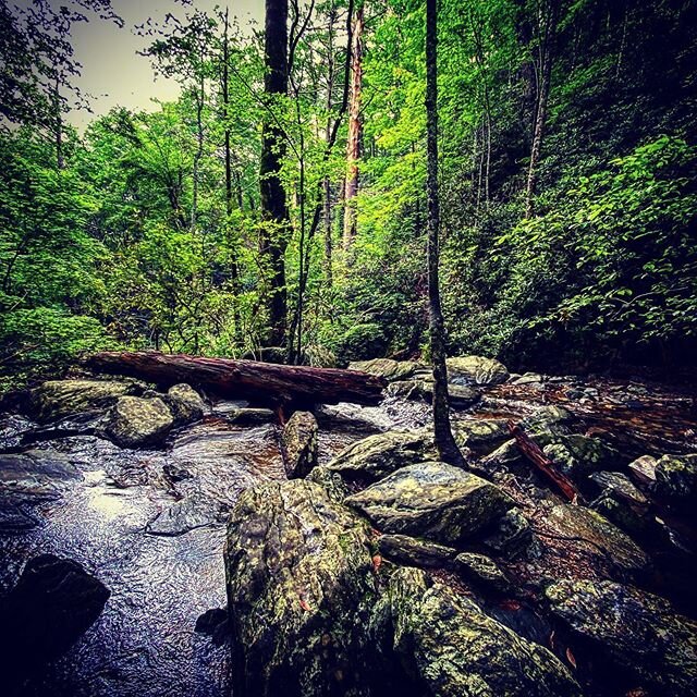 Long weekend in North Carolina - Asheville, Pisgah National Forest, the Blue Ridge Parkway and my mother&rsquo;s hometown of Saluda.