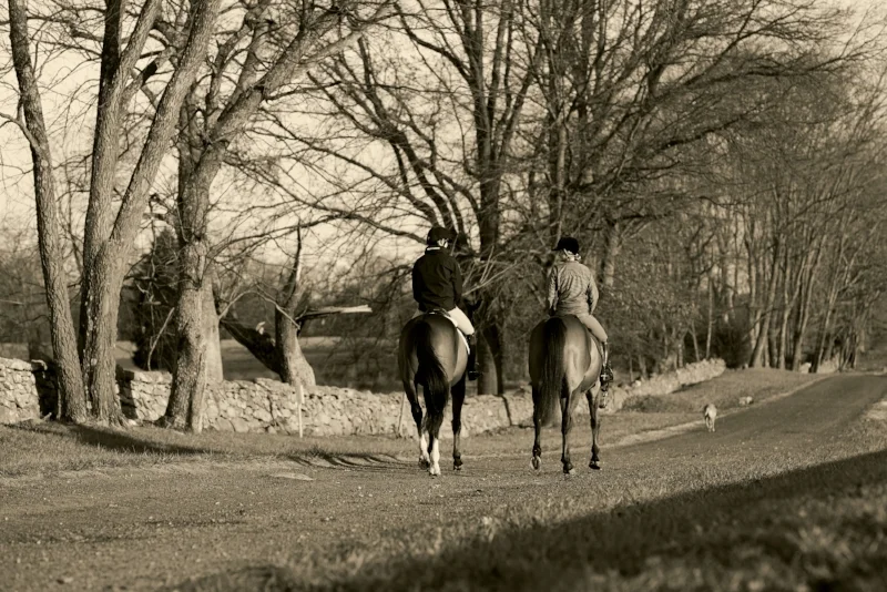 Dover.Saddlery.2232_V2 copy.jpg