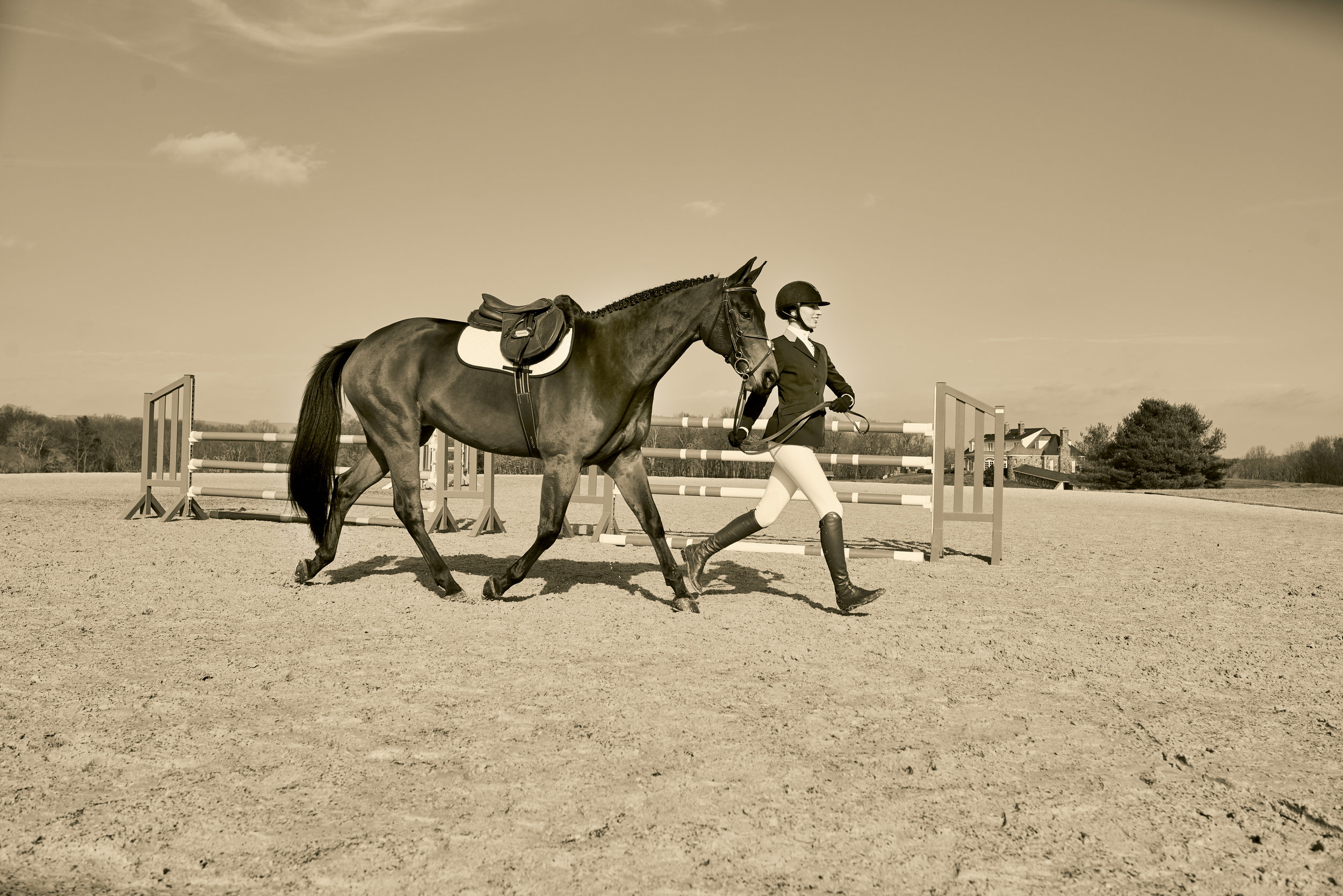 Dover.Saddlery.0641_V2 copy.jpg