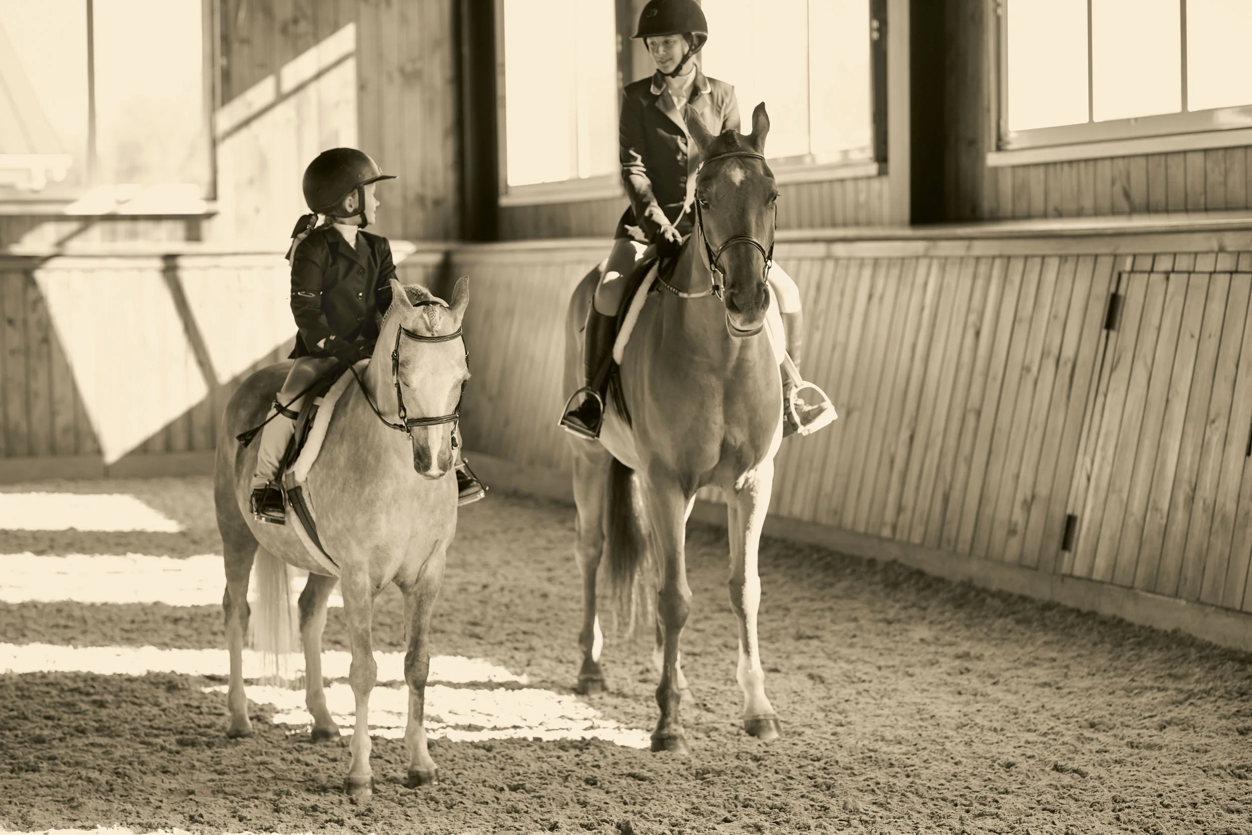 Dover.Saddlery.3519_V3 copy.jpg