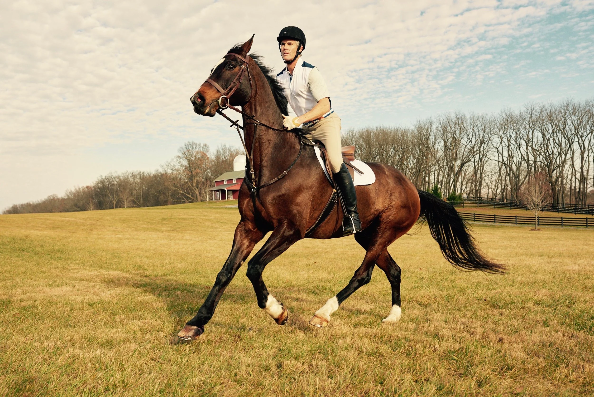 Dover.Saddlery.1015 (1).jpg