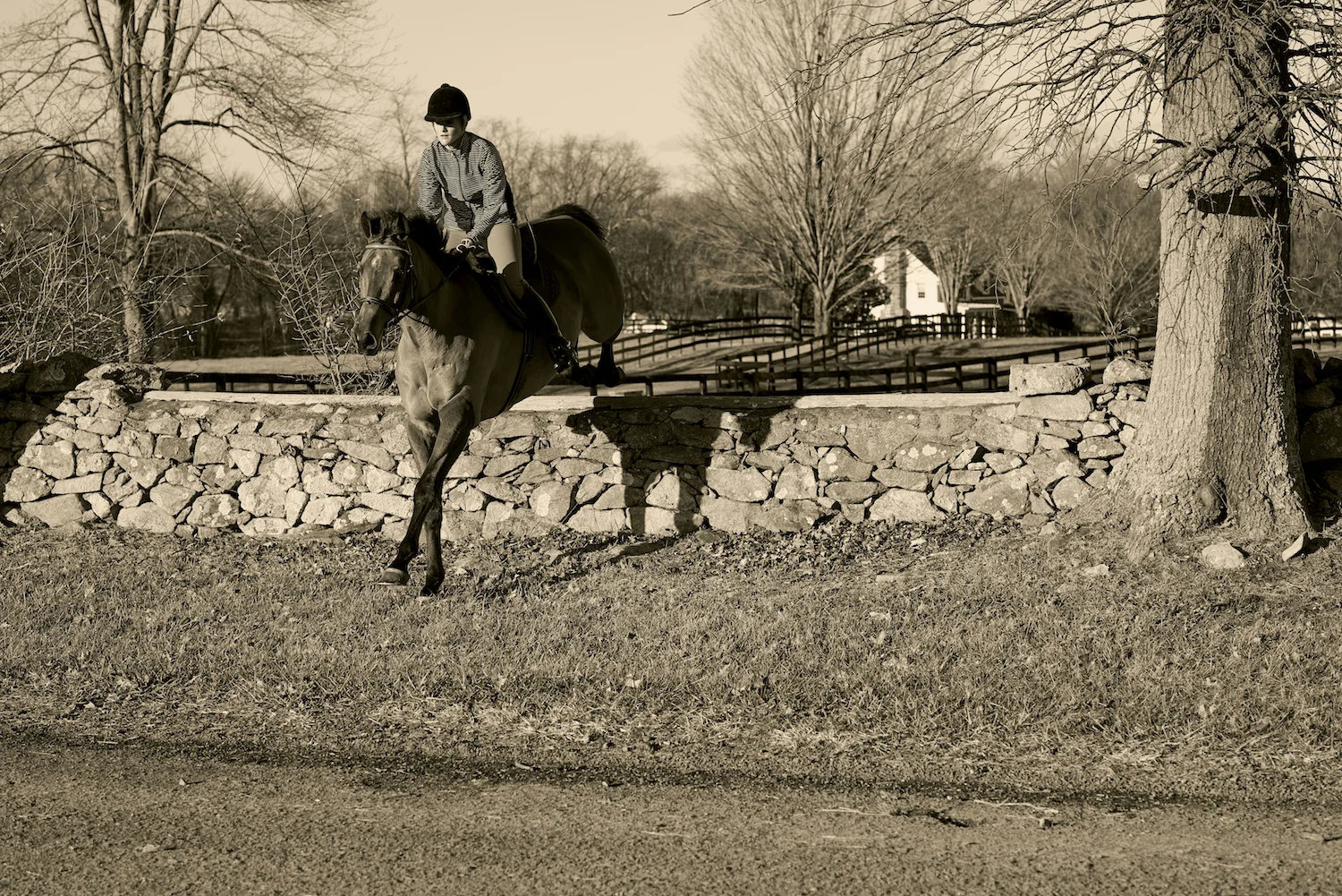 Dover.Saddlery.2438 web.jpg