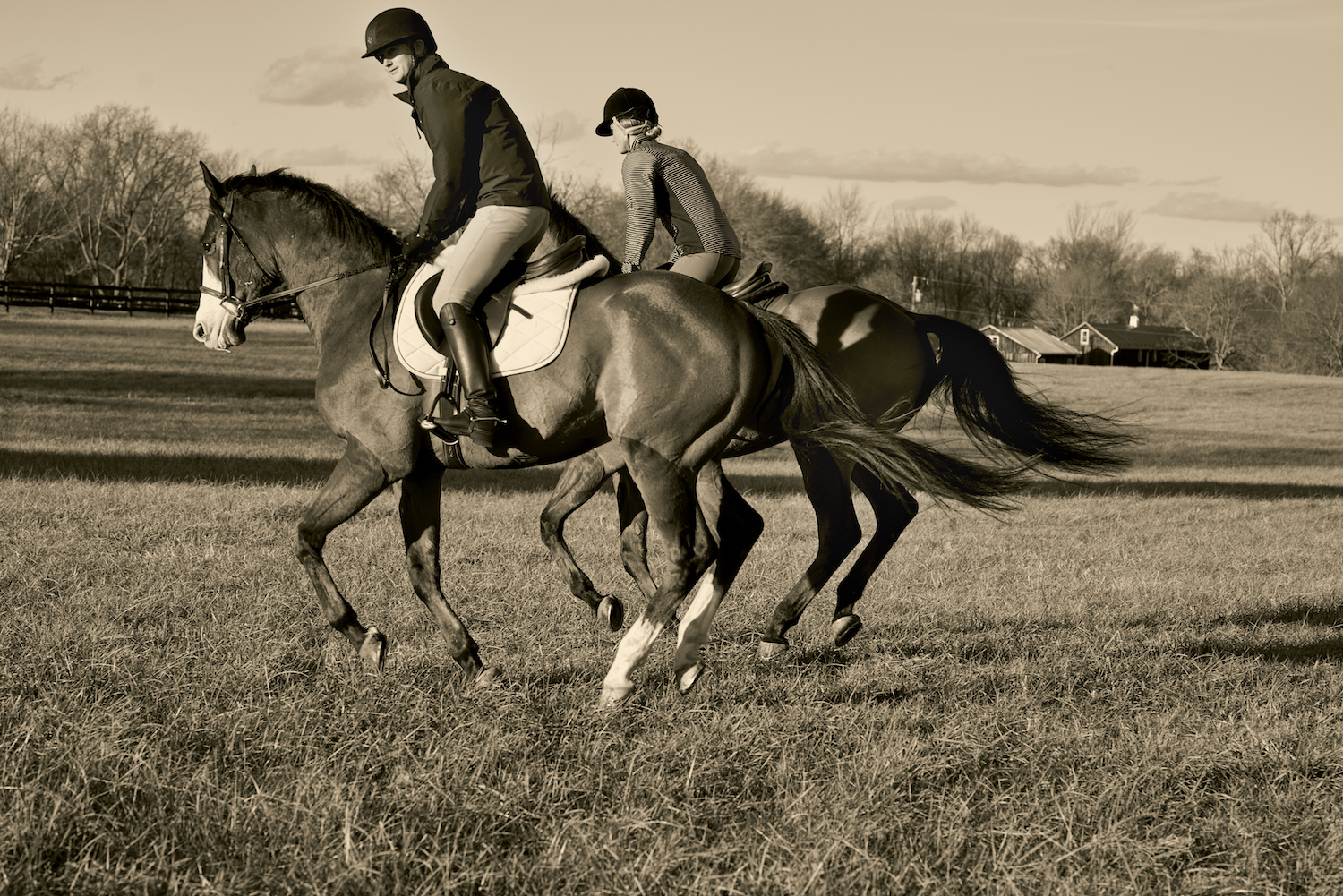 Dover.Saddlery.2658 web.jpg