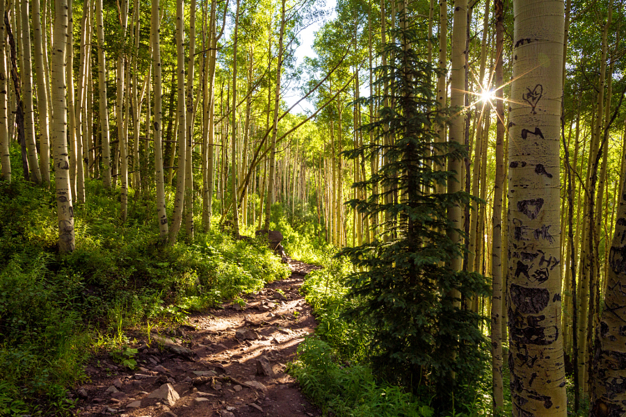 Aspen