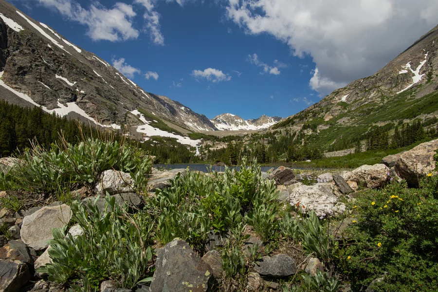 Wheeler Mountain