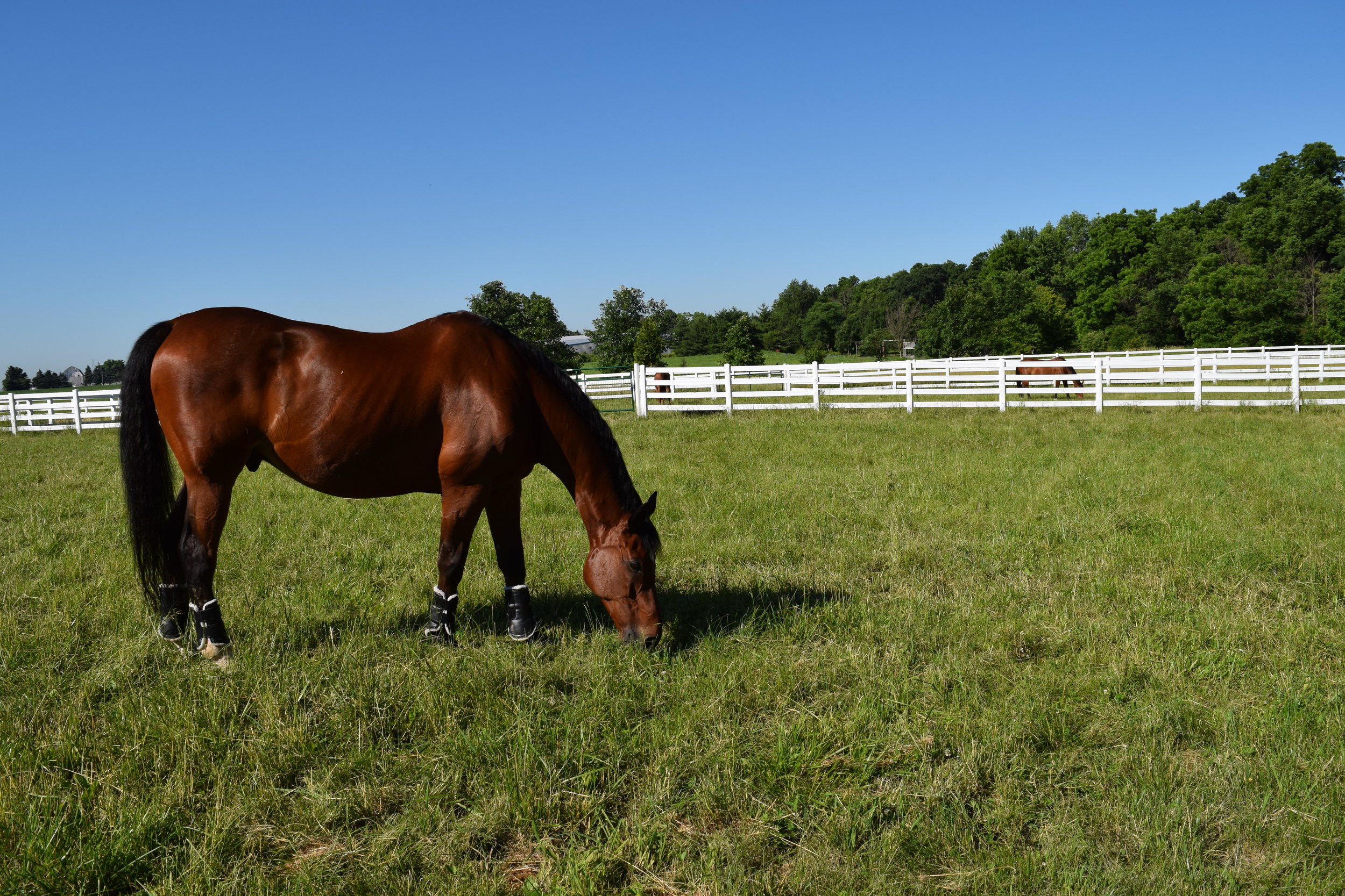  Landon enjoying the beautiful weather 
