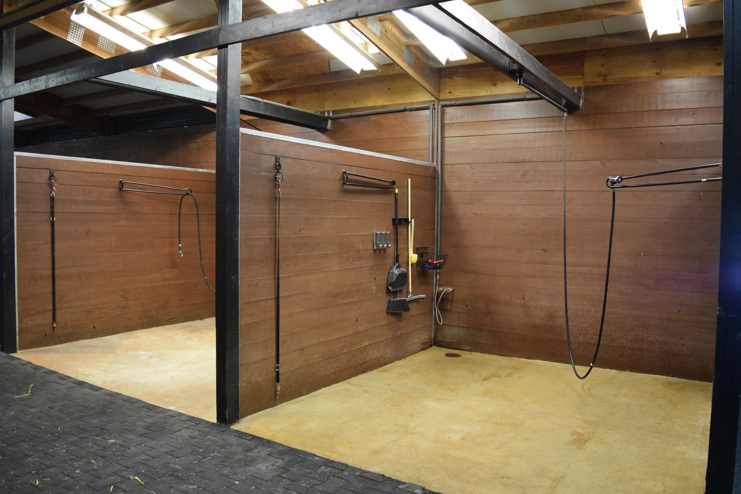  Our shower stalls, equipped with a selection of shampoos and conditioners 