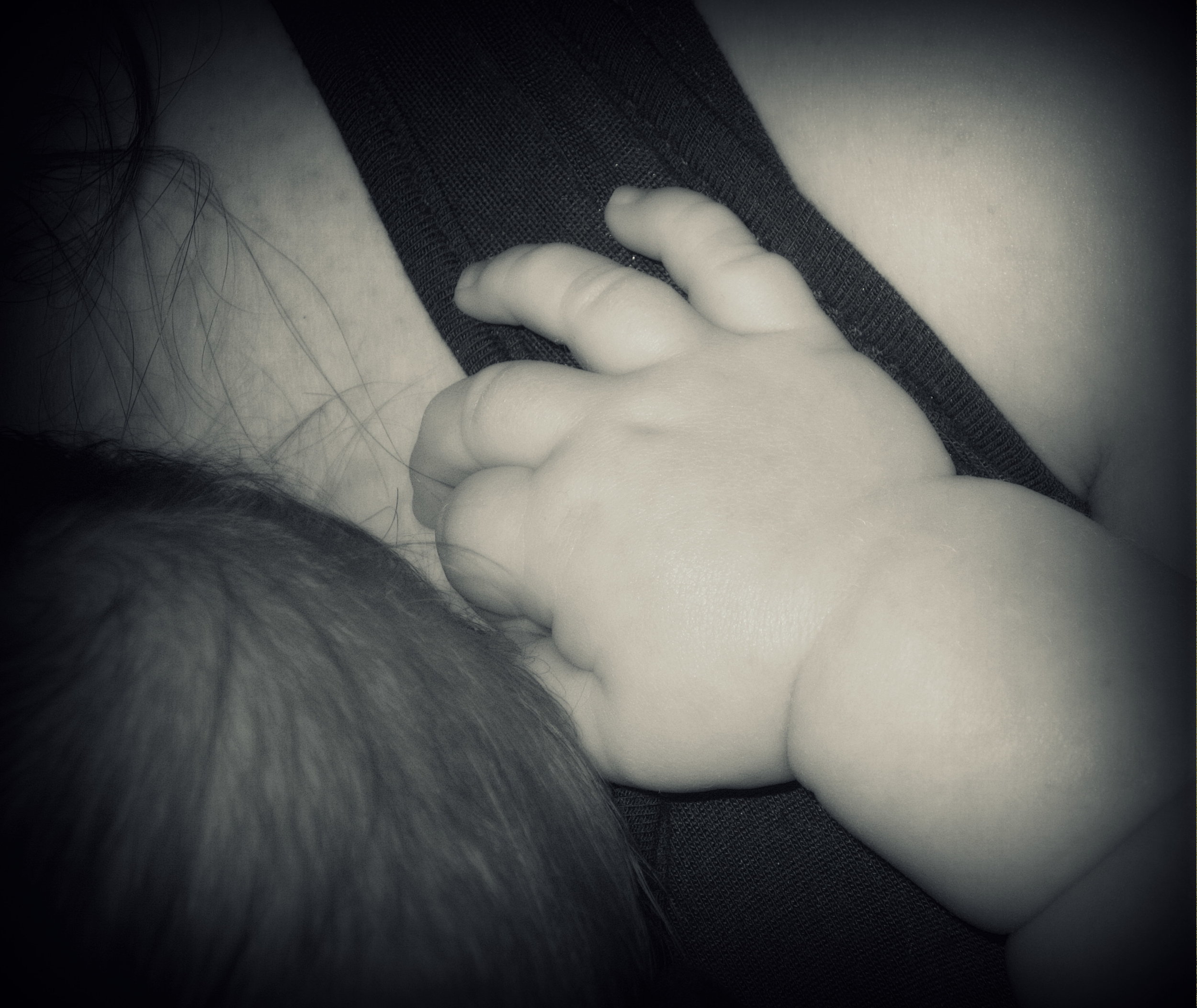 IMAGE COURTESY OF FLICKR USER MARIA ANTONIETTA/FLICKR CREATIVE COMMONS