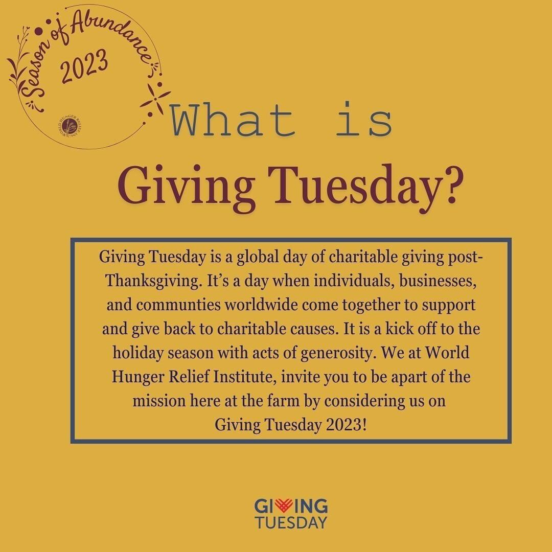 📅 🌟 Save the date for Giving Tuesday on November 28th! &hearts;️ We invite you to be apart of a global day of positive change by making a donation or volunteering with World Hunger Relief Institute! Click the link in our bio to find out more! #givi