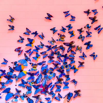 butterflies.png