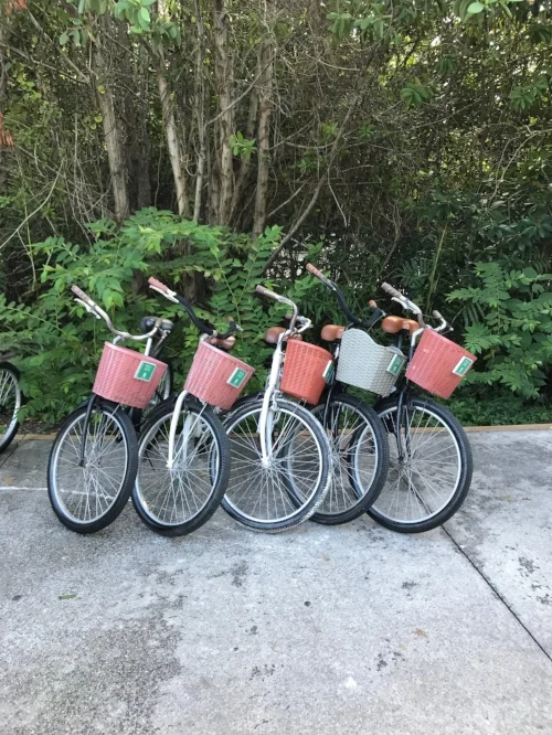 Bikes given to each guest at the Banyan Tree. There's a short Nature Trail that you can bike through.