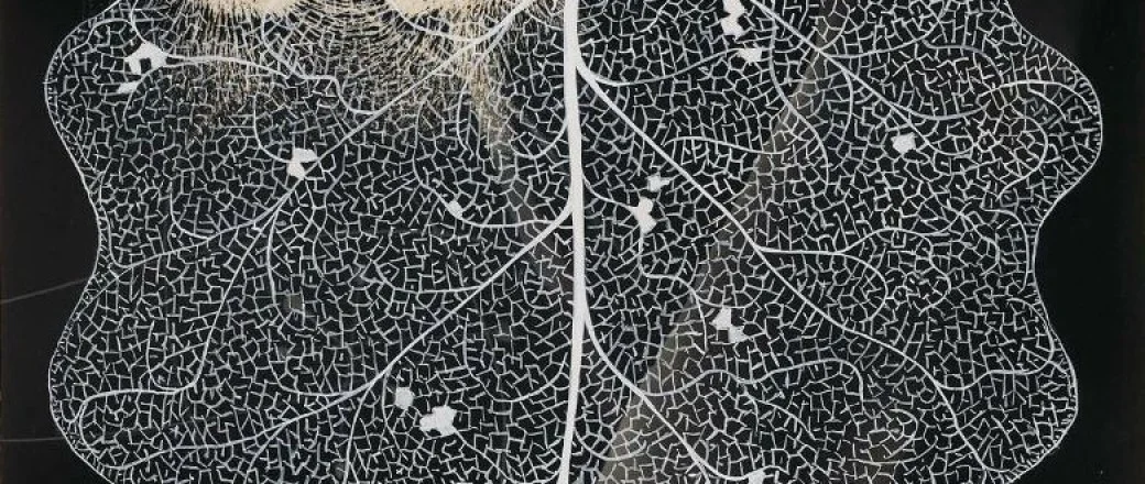 György Kepes at MIT