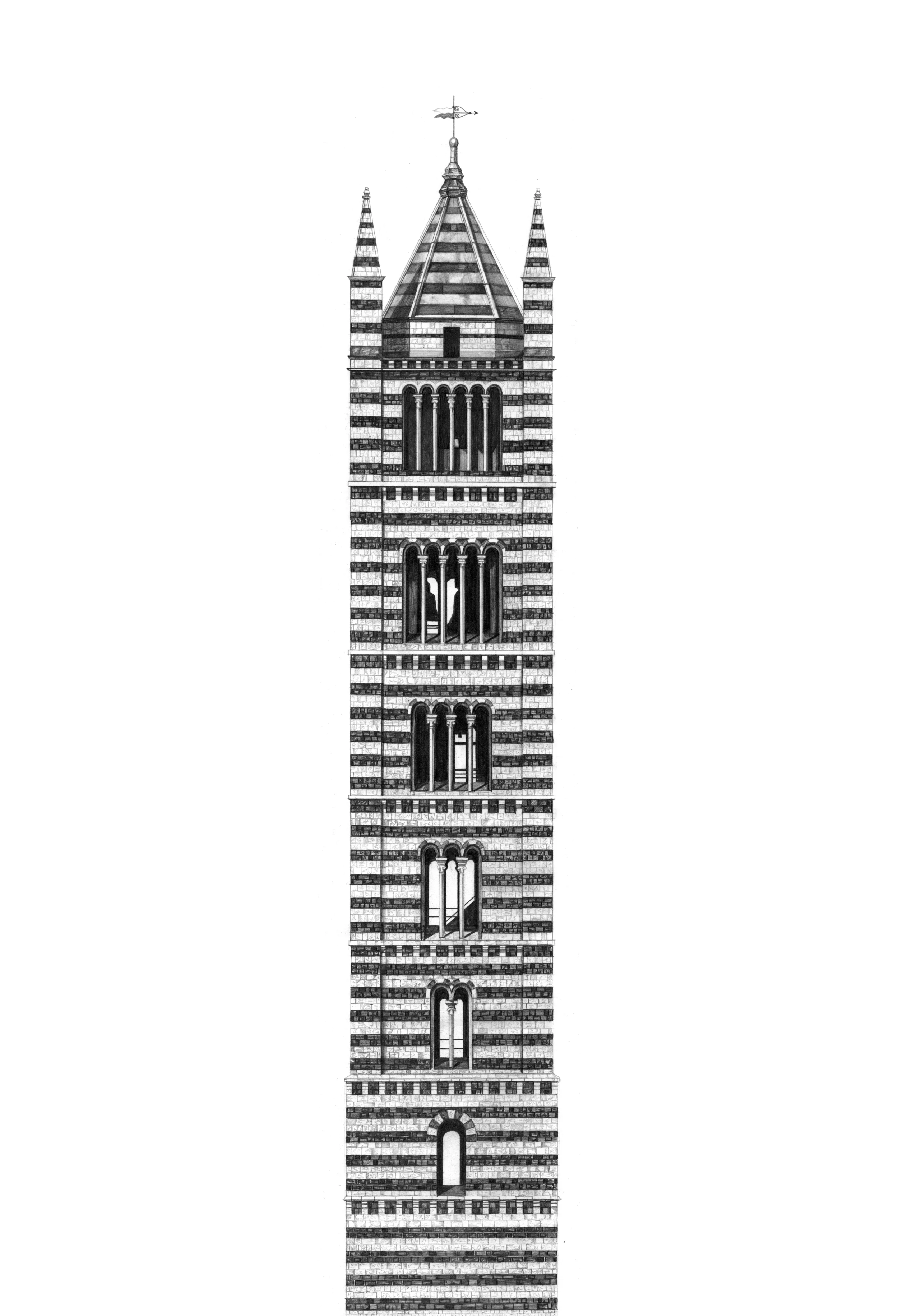 Siena Campanile architectural print