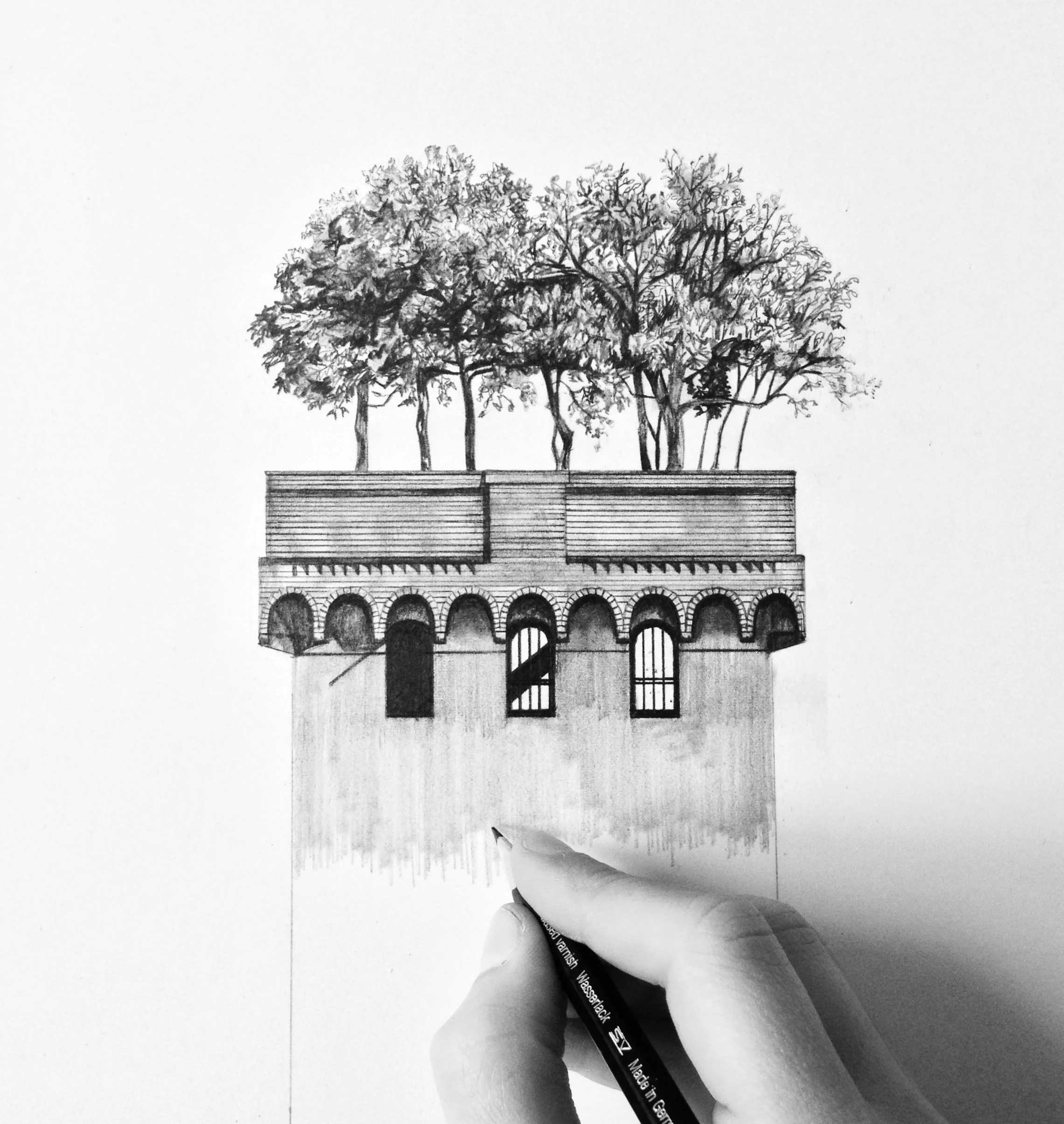 Guinigi Tower with oak trees