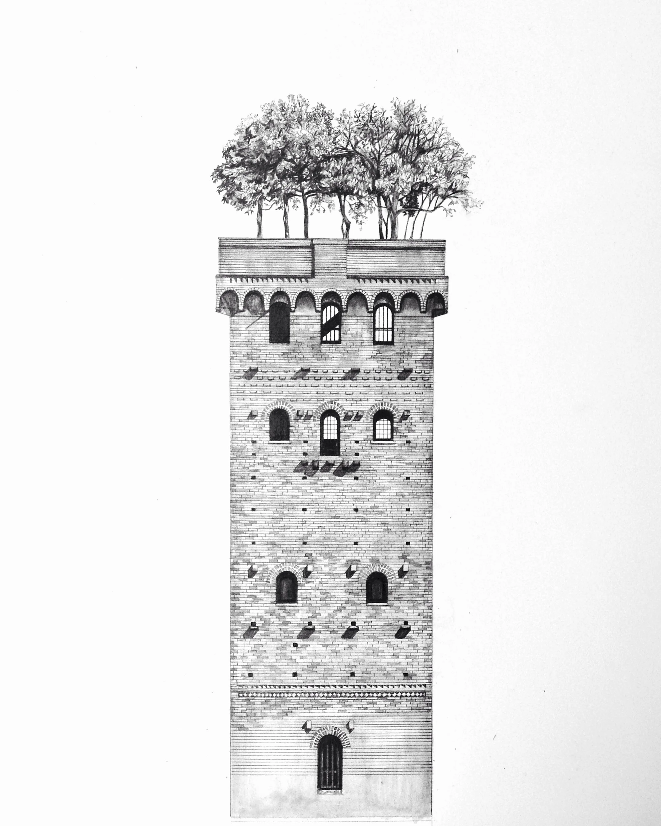 Guinigi Tower architectural print close up