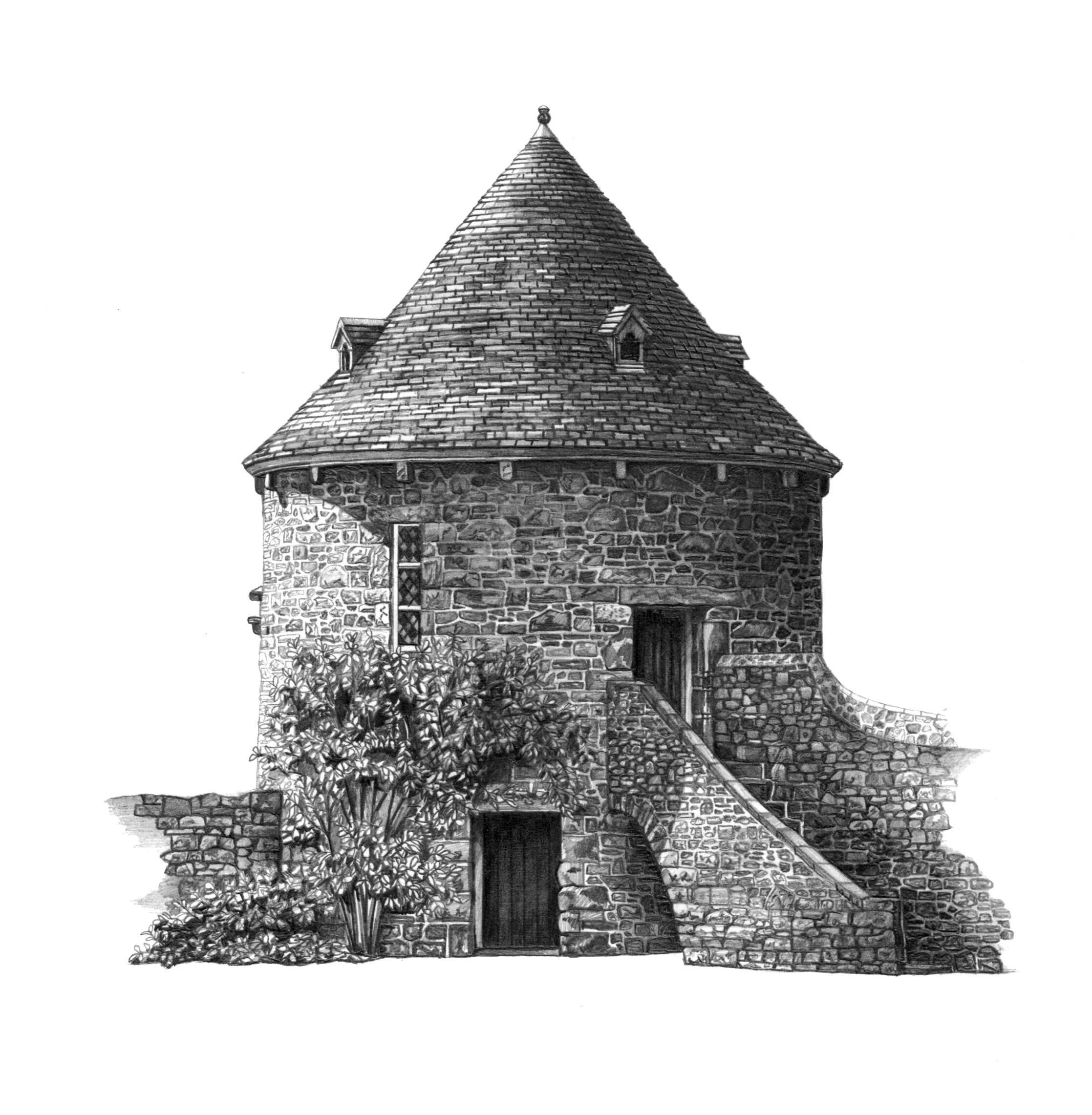 Dovecot Jersey website.jpg