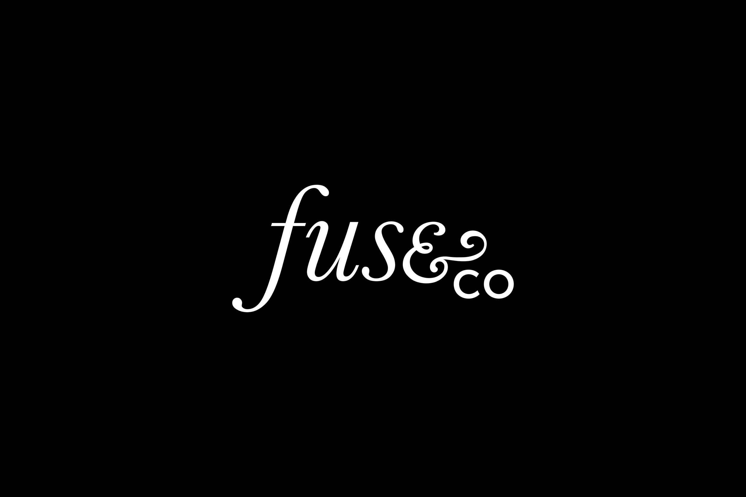 fuse and co.jpg