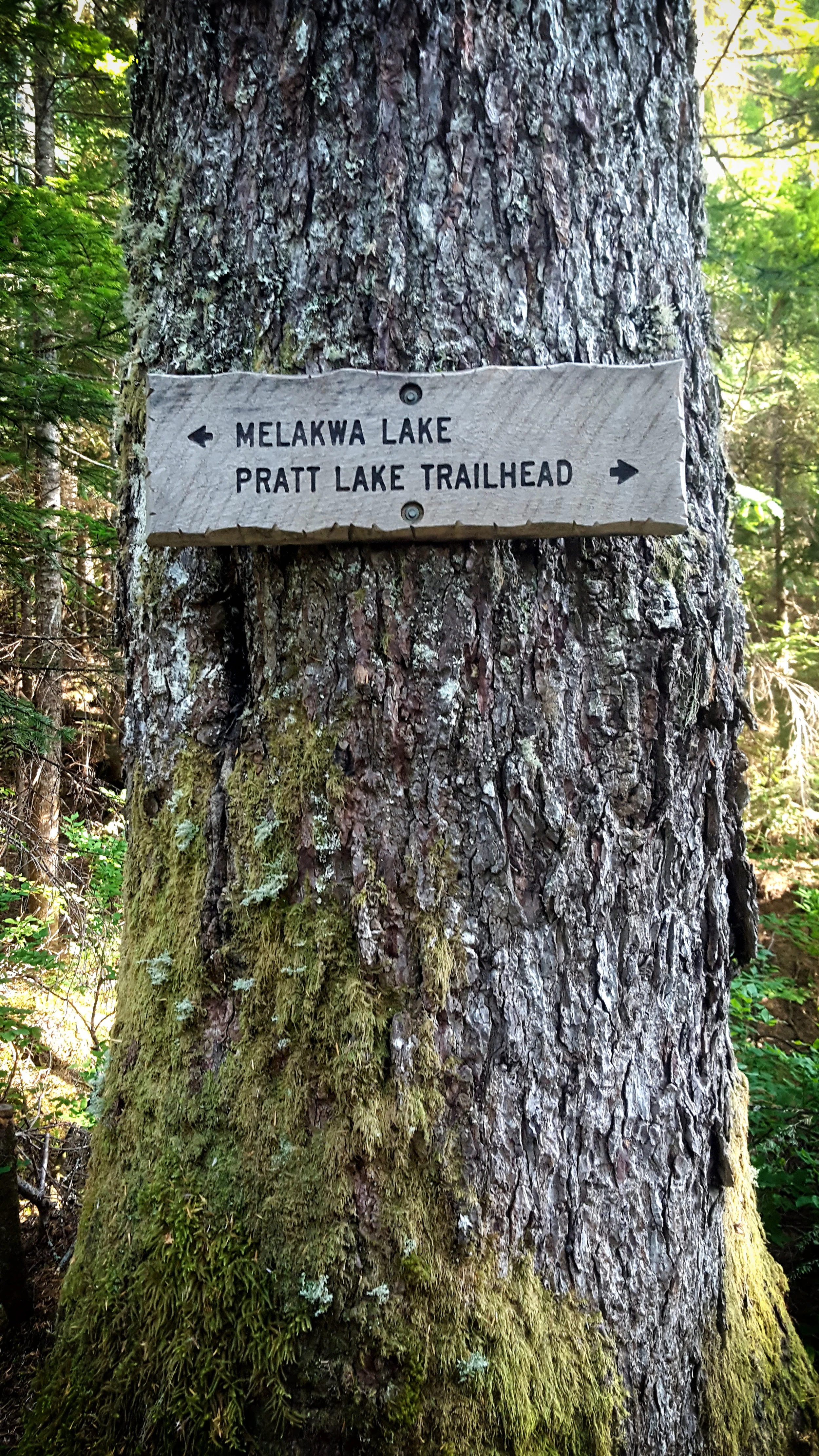 Alpine Lakes Loop: Kaleetan Peak — Up and Down Adventures