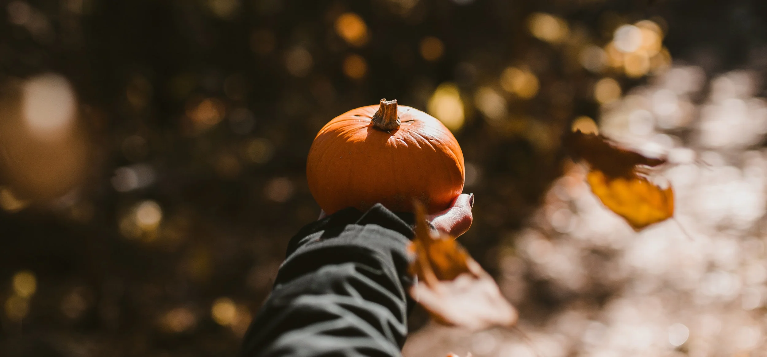 It Pick: September 2019
