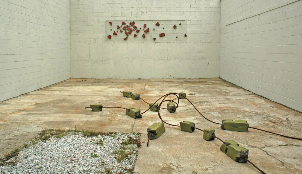 Installation at Black and White Gallery