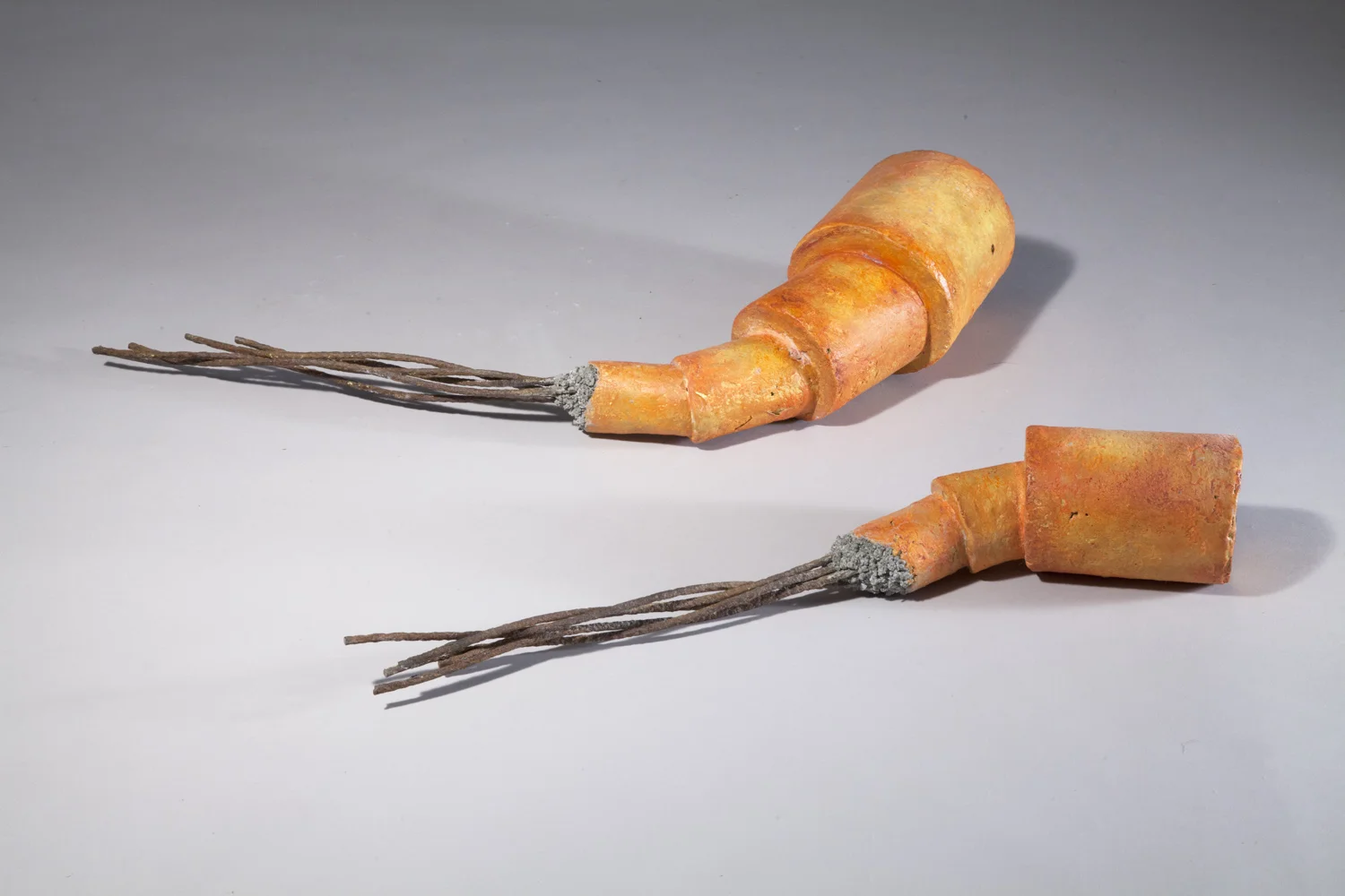 shrimps.jpg