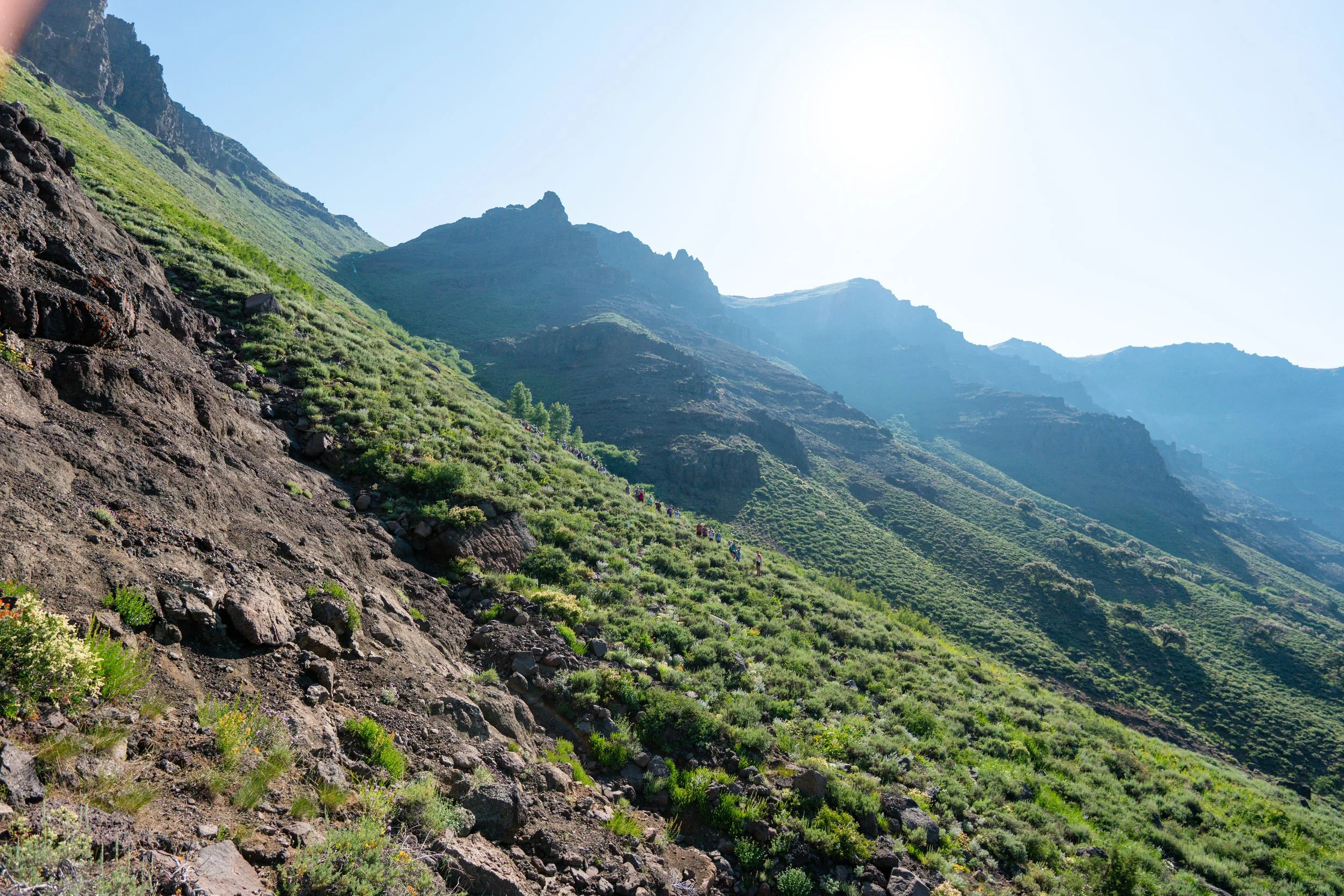   The Long Run: Charting a Resilient Course    Read More  