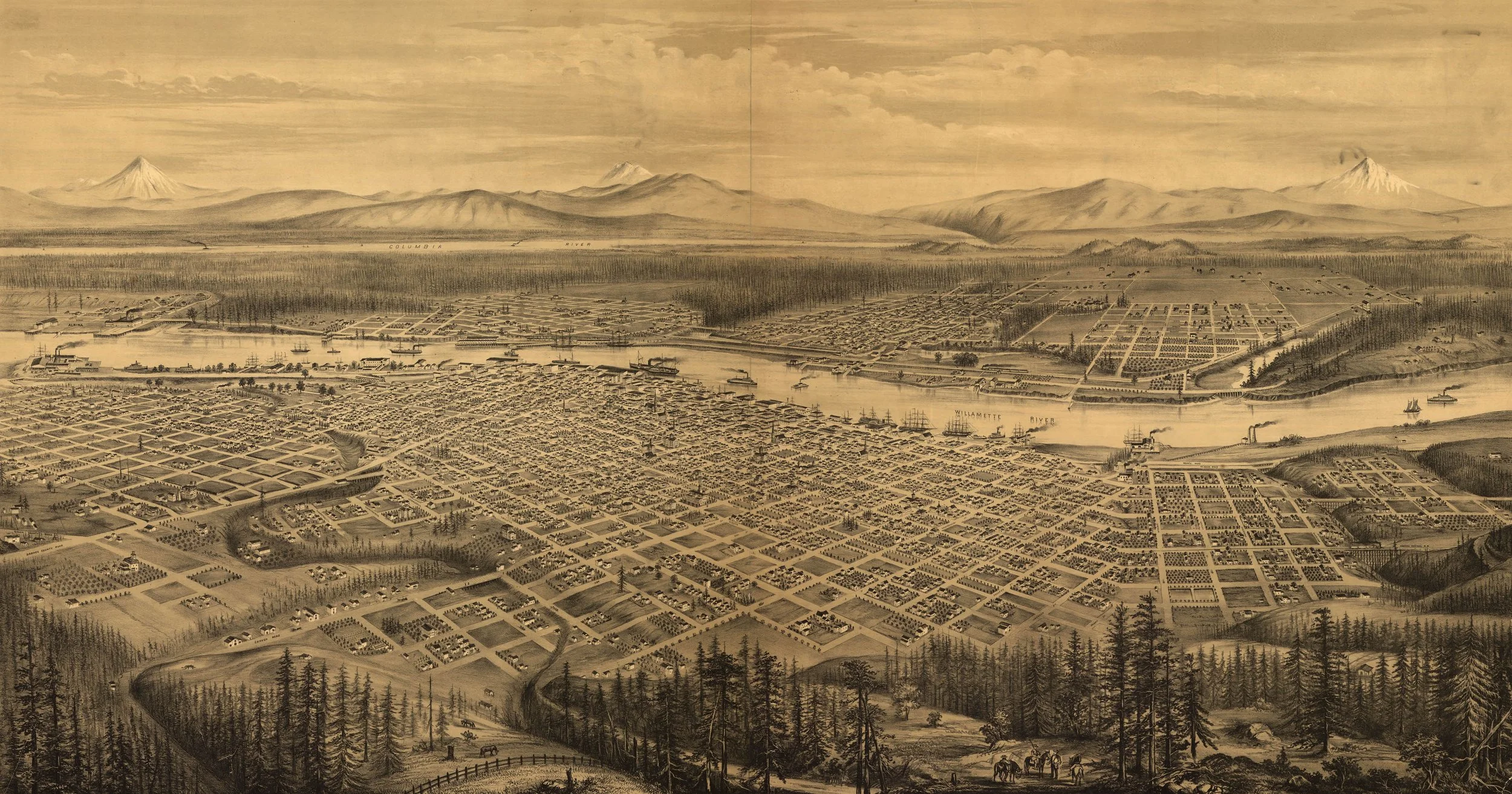   Regime Change &amp; Diversification    Read More  