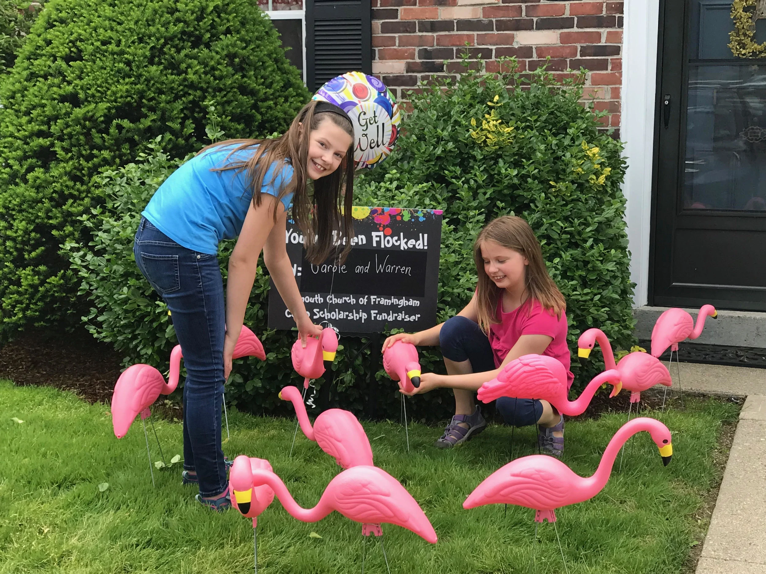 Flock 7.jpg