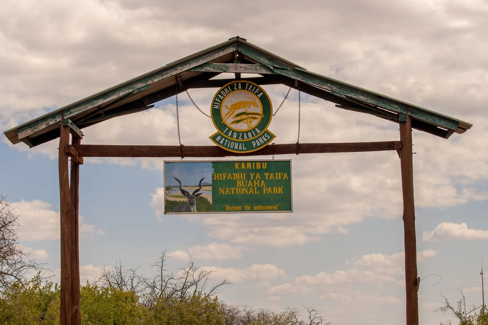 2018-Pomerini-Ruaha-2.jpg