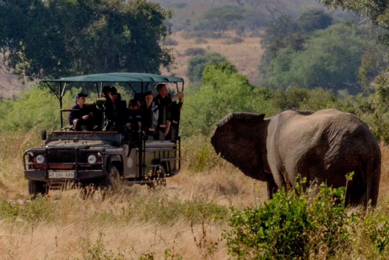 2018-Pomerini-Ruaha-156.jpg